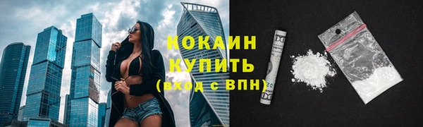 гидра Осинники