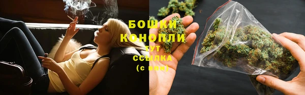шишки Переславль-Залесский