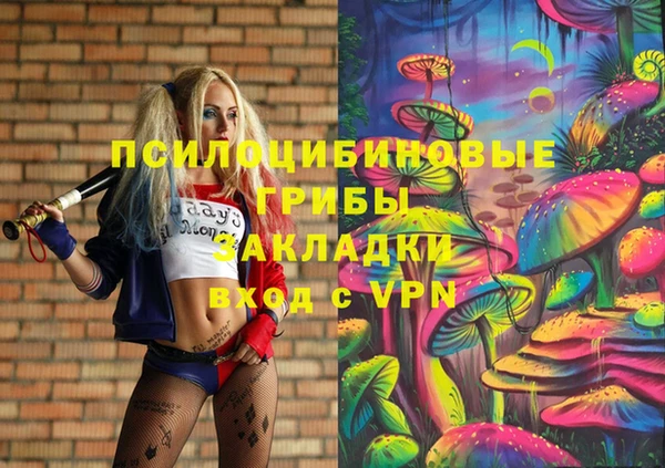 гидра Осинники