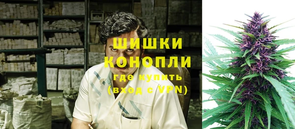 шишки Переславль-Залесский