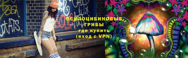 гидра Осинники