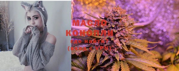 Альфа ПВП Пересвет