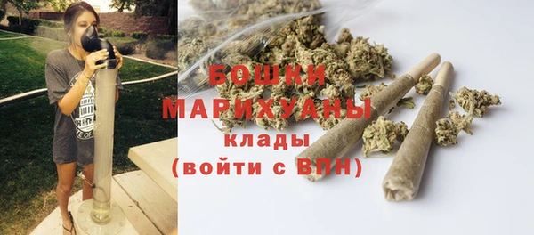 шишки Переславль-Залесский