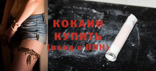 гидра Осинники