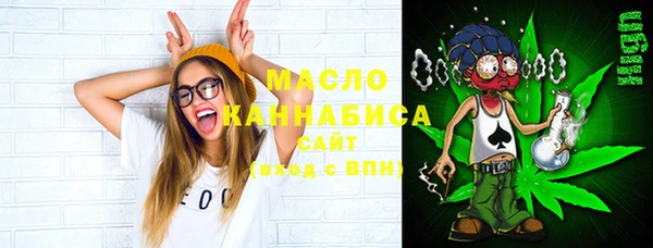 шишки Переславль-Залесский